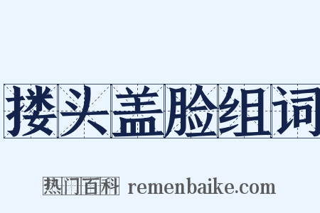 搂头盖脸组词是什么意思的图片
